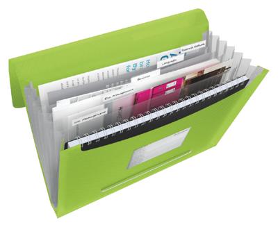 Esselte projectmap Vivida groen