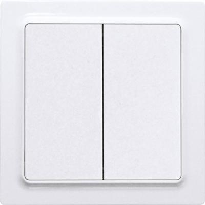 Eltako F4T55E-wg Toets Draadloos 2-kanaals Opbouw (op muur) Bereik max. (in het vrije veld) 30 m