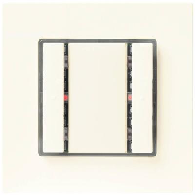 Siemens-KNX 5WG1221-2DB13 Toets