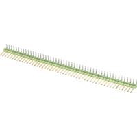 TE Connectivity Male header (standaard) Aantal rijen: 1 Aantal polen per rij: 9 825437-9 1 stuk(s) - thumbnail