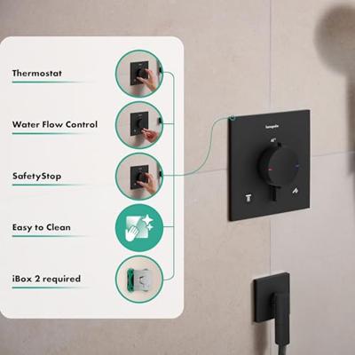 Hansgrohe Ecostat Comfort E - inbouwthermostaat - 2 functies - mat zwart 33711670