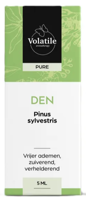 Den pinus sylvestrus