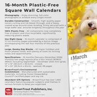 Maltezer Kalender 2026 - thumbnail