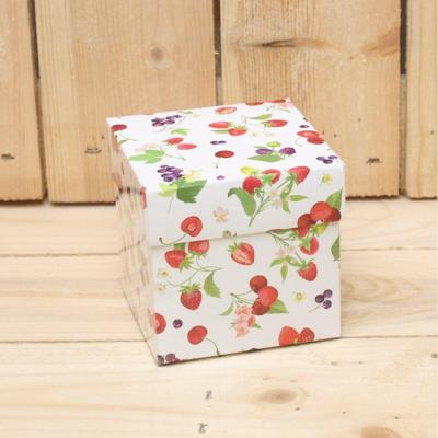 Bonbon doosjes - Chocolade doosje - Zomerfruit KUBUS - 24 stuks