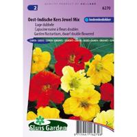Tropaeolum zaden Jewel Oost-Indische kers - thumbnail
