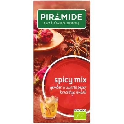 Piramide Spicy thee eko bio 20 Zakjes