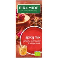 Piramide Spicy thee eko bio 20 Zakjes - thumbnail