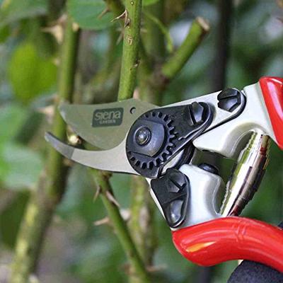 Siena Garden CG1060 Grasschaar 20.5 cm Bypass