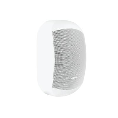 Apart MASK6C-W 150W 6,5 inch passieve luidspreker wit