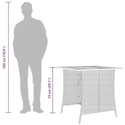 5-delige Tuinset met kussens poly rattan grijs