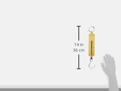 C.K T6202 088 Veerweegschaal Weegbereik (max.) 40 kg