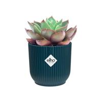 Elho Bloempot Vibes Fold Diepblauw Ø7cm - thumbnail