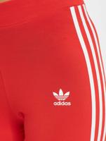 adidas Originals / Legging Originals 3 Stripes in rood - thumbnail