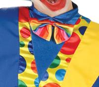 Dumpty Clowns Kostuum - thumbnail