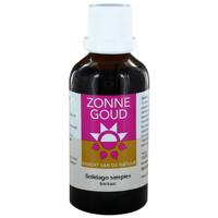 Zonnegoud Solidago Simplex - thumbnail