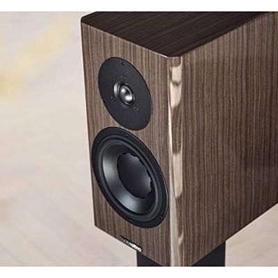 Dynaudio Special Forty monitor speaker Ebony Wave
