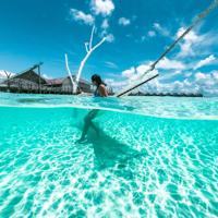 PolarPro Fifty-Fifty Dome voor GoPro Hero 9 Black - thumbnail