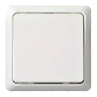 ELSO-toets 506204 42V/1A opbouw RENOVATIE rw Wit 1 stuk(s) - thumbnail