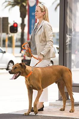 Rogz For Dogs lumberjack halfslip halsband zwart