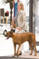 Rogz For Dogs lumberjack halfslip halsband zwart - thumbnail