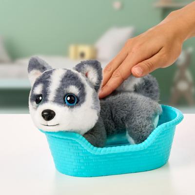 Little Live Pets My Really Real Puppy Mini's Aurora de Husky + Geluid - thumbnail