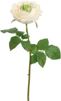 Pure Royal kunsttak roos 52cm crème - thumbnail