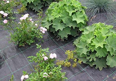 TerCasa ju-998102 worteldoek 200x500 cm 100g/m&sup2; zwart