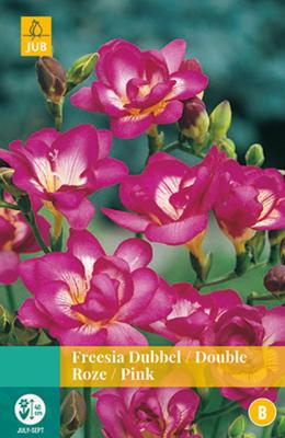 Freesia Dubbel Roze Bloembol JUB 15 bollen - Jub