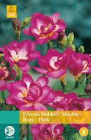Freesia Dubbel Roze Bloembol JUB 15 bollen - Jub - thumbnail