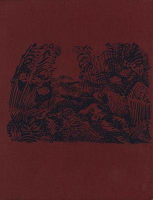 Nacht over Java - Johan Fabricius - ebook