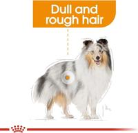 Royal Canin Coat Care natvoer hond (paté) 4 dozen (48 x 85 g) - thumbnail