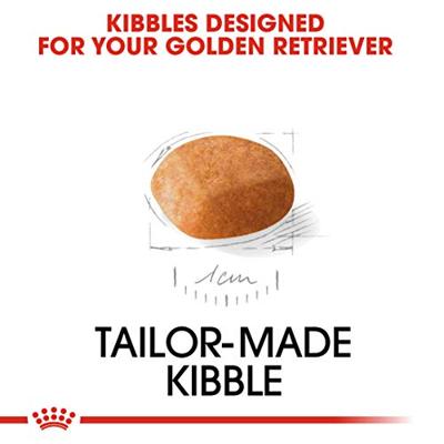 Royal Canin Puppy Golden Retriever hondenvoer 12 kg - thumbnail