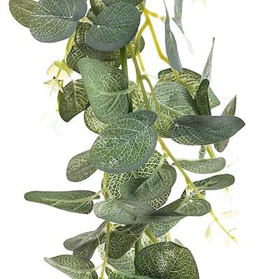 Boltze Home Plantenslinger eucalyptus l75cm