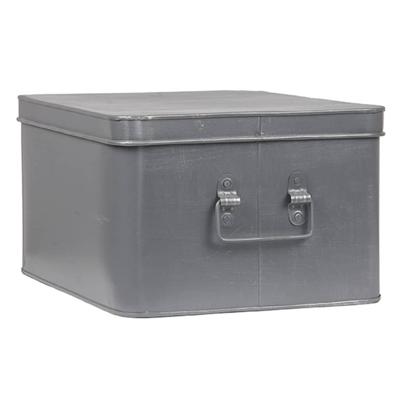 LABEL51 Opbergblik Media Opbergkist - Grijs - Metaal - XL