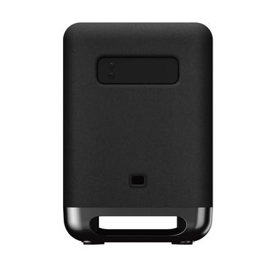 Sony SA-SW5 Premium subwoofer (300W uitgangsvermogen, Bluetooth), zwart