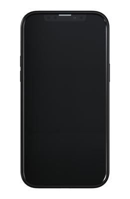 Richmond & Finch Freedom Series One-Piece Apple iPhone 13 Pro Max Zebra