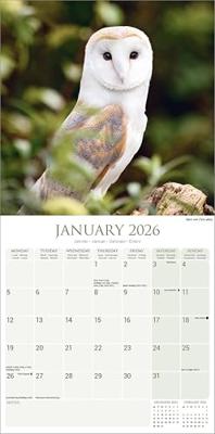 Uilen Kalender 2026 Uilen Kalender 2026