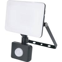 Müller-Licht Orlando 21600072 LED-buitenschijnwerper met bewegingsmelder 20 W Neutraalwit - thumbnail