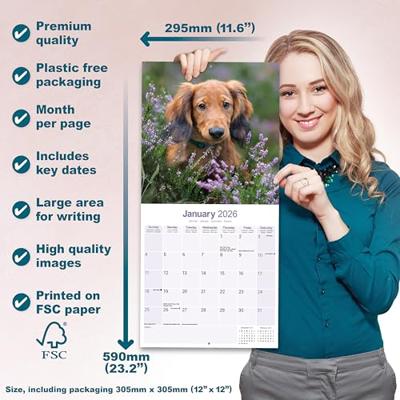 Teckel Langhaar Kalender 2026