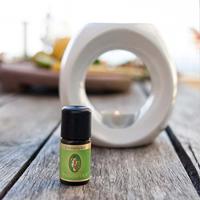 Primavera Citronella schil bio 5 Milliliter - thumbnail