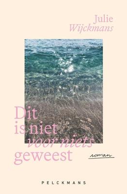 Dit is niet voor niets geweest - Julie Wijckmans - ebook