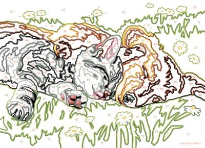 Ravensburger CreArt Schilderen op nummer slapende katten en honden