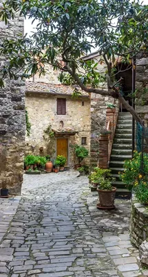 Alexsar Art Tuinschilderij pittoresk 130x70cm