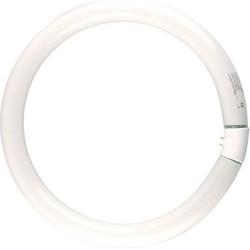 Philips Ronde TL 22W/840 TLE coolwhite Philips 5900609