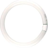 Philips Ronde TL 22W/840 TLE coolwhite Philips 5900609 - thumbnail