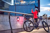 SKS Achterdrager 26/29" infinity universal mik - thumbnail