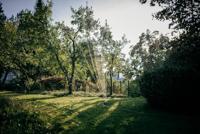 Fiskars X-serie Zwenksproeier S-M - 1070832 - thumbnail