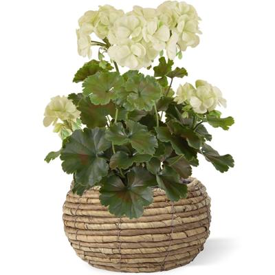 Geranium PL kunstplant 38cm -creme - UV bestendig