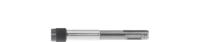 Wiha Bithouder | voor SDS-Plus opname 1/4 inch C 6,3 | snelwisselkop | l. 100 mm | 1 stuk - 26255 26255 - thumbnail