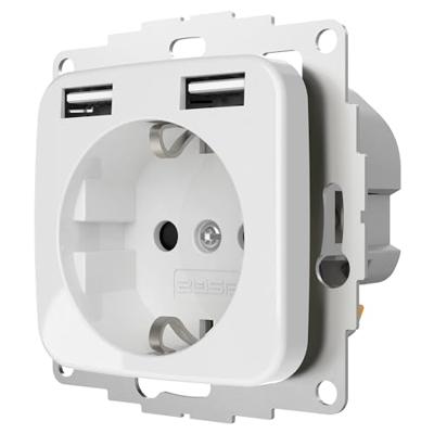 Stopcontact met 2x USB poort 2400mA glanzend wit - compatible met Busch-Jaeger Standaard / Inbouw SI